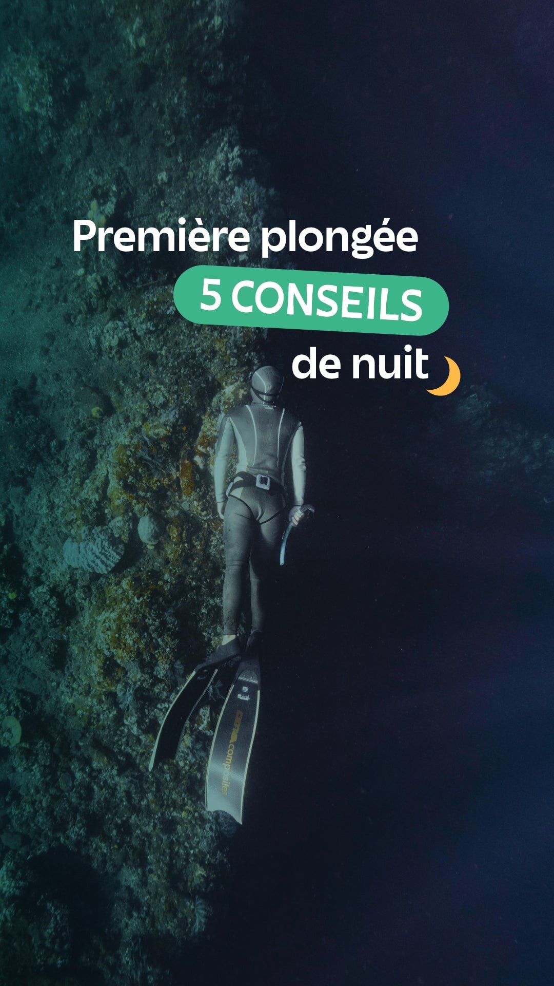 5 conseils pour ta première plongée de nuit !