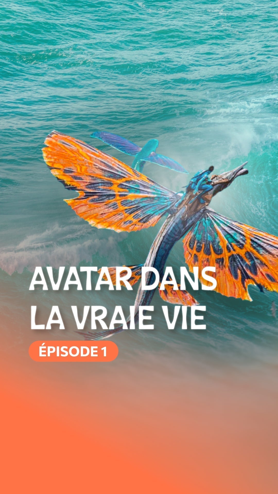 Ce que tu vois dans Avatar 2, ça existe vraiment !